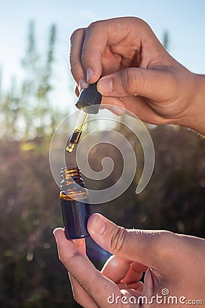 Hands opening CBD oil bottle near hemp plant in a field, close up shot Stock Photo