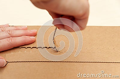 Hands opening mail shipping box. Side view. Close-up Stock Photo