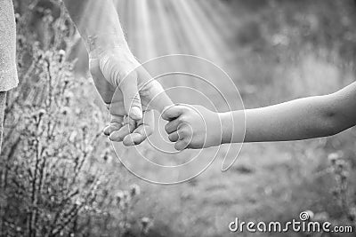 Hands of parent and child in nature Stock Photo