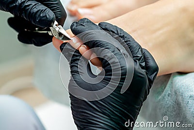 Hands of pedicurist cutting toenails on foot Stock Photo
