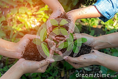 Hands People Team Work family Cupping young Plant Nurture Environmental and reduce global warming earth. Stock Photo