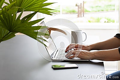 Hands of a person by a table at home working on a laptop computer with coffee mug and a mobile phone. Stock Photo