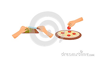 Hands Preparing Food Chopping Parsley and Baking Pizza Vector Set Vector Illustration