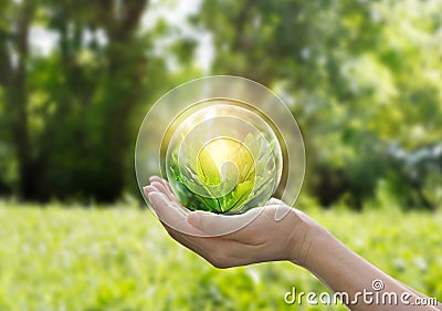 Hands protecting globe of green tree on tropical nature summer background Stock Photo