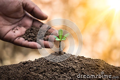 Protect nature for sustainability or environment concept Stock Photo