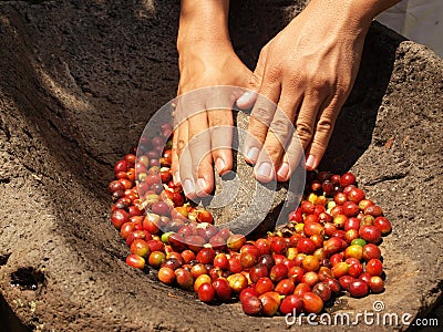 Hands rubing coffee beans Stock Photo