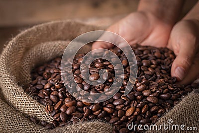 Hands on a sack of coffee beans Stock Photo