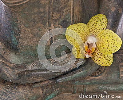 Hands of a Serene Buddha Stock Photo