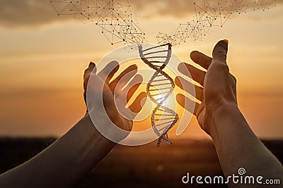 Hands shows DNA molecules Stock Photo