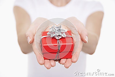 Hands With Small Wrapped Gift Stock Photo