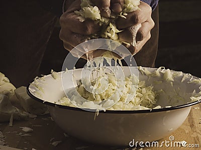 Hands squeezing a large handful of cabbage - brine is dripping Stock Photo