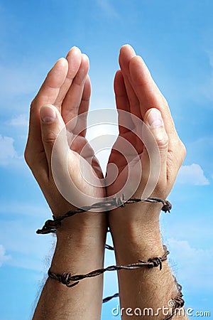 Hands tied with barbed wire Stock Photo