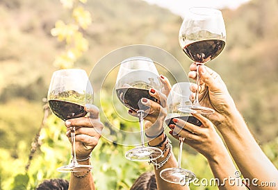 Hands toasting red wine glass and friends having fun cheering at Stock Photo