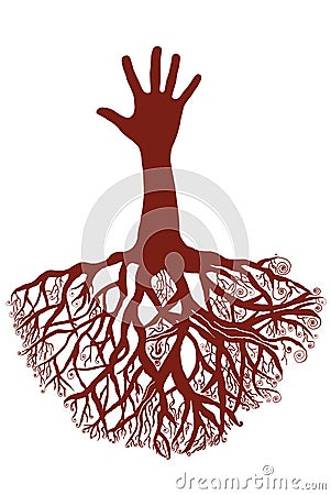 Hands tree root Stock Photo