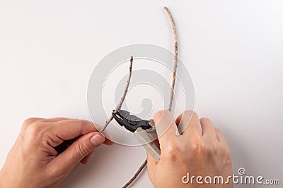 Hands using cutters to snip brown twig, white background, DIY, tutorial, step by step instruction, Stock Photo