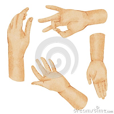 Hands watercolor hand paint collection Stock Photo