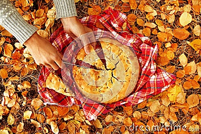 Hands of woman with pieces of apple pie on a red checkered towel and dry yellow autumn leaves. Stock Photo