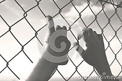 Hands of a young man who cling to the hope of freedom beyond a wire mesh Stock Photo