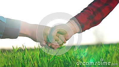 handshake agriculture. hands of group farmer business make a contract in the field. farmer handshake hands shaking hands Stock Photo