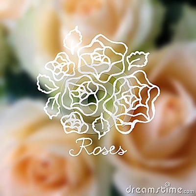 Handsketched bouquet of roses Vector Illustration