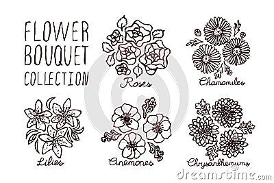 Handsketched bouquets collection Vector Illustration