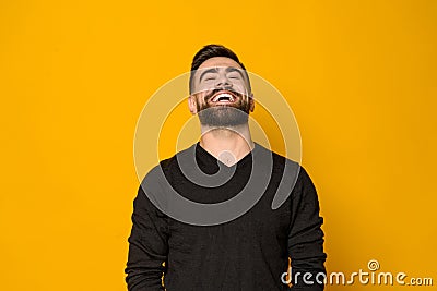 Handsome bearded man laughing isolated Stock Photo