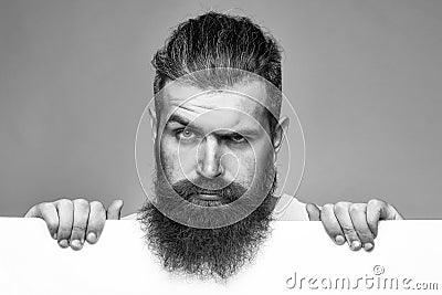 Handsome bearded man with long lush beard and moustache on with white paper sheet in studio on grey background, copy Stock Photo