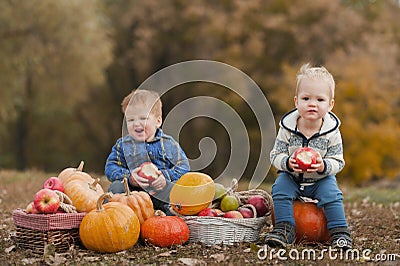 Handsome blonde toddler and pumpkin harvest in orchard. The child eats apples in nature... Stock Photo
