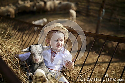 Handsome boy plays with the goatling in hay Stock Photo