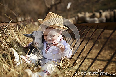 The little boy plays with the goatling in hay Stock Photo