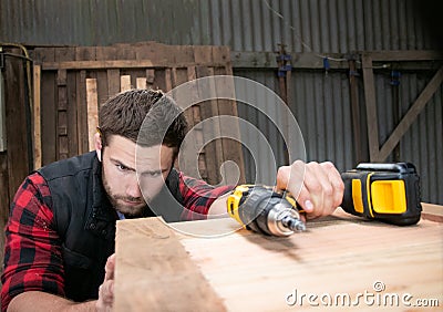 Carpenter, wood worker work measuring, drilling and making timber product Stock Photo