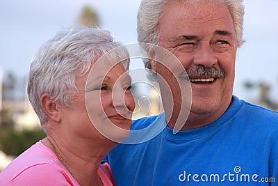 Handsome elderly couple Stock Photo