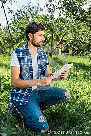 handsome farmer squatting holding tablet in apple garden at farm Stock Photo
