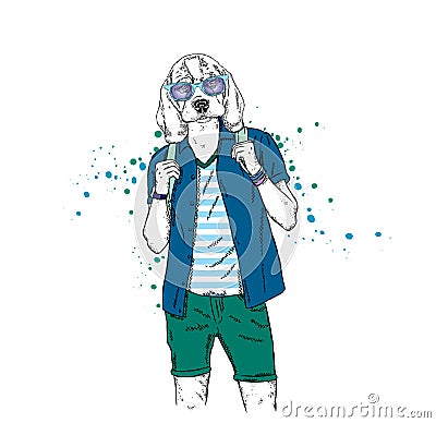 A handsome guy with a dog head dressed in a T-shirt, shirt and shorts. Summer clothes. Vector illustration. Hipster. Beagle. Vector Illustration