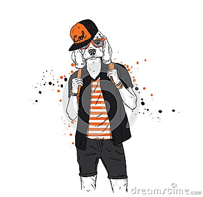 A handsome guy with a dog head dressed in a T-shirt, shirt and shorts. Summer clothes. Vector illustration. Hipster. Beagle. Vector Illustration