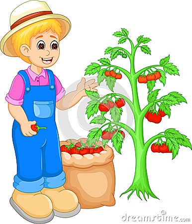 Handsome man cartoon picking tomato on garden Stock Photo