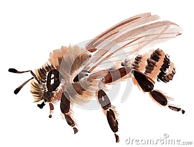 Handwork watercolor illustration of an insect bee Cartoon Illustration