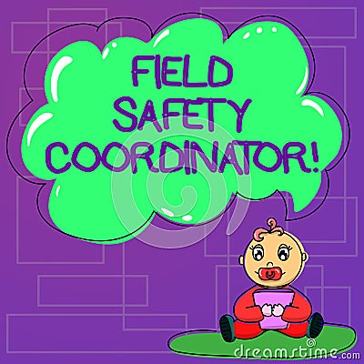 Handwriting text Field Safety Coordinator. Concept meaning Ensure compliance with health and safety standards Baby Stock Photo