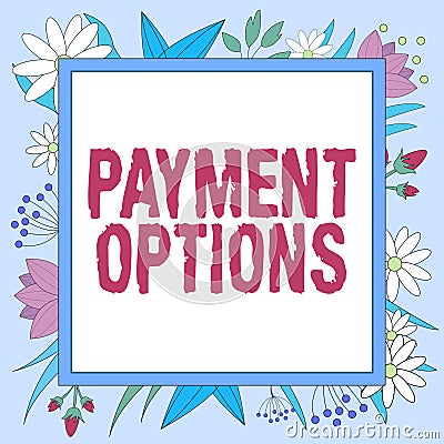 Handwriting text Payment Options. Word Written on The way of chosen to compensate the seller of a service Frame Stock Photo