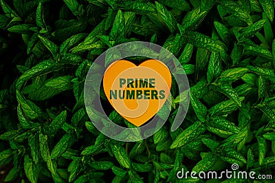 Handwriting text Prime Numbers. Word for a positive integer containing factors of one and itself Heart Shaped Paper On Stock Photo