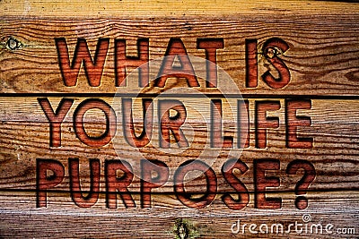 Handwriting text What Is Your Life Purpose Question. Concept meaning Personal Determination Aims Achieve Goal Wooden background vi Stock Photo