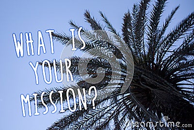 Handwriting text What Is Your Mission Question. Concept meaning Positive goal focusing on achieving success Tall palm tree blue sk Stock Photo