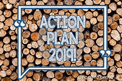 Handwriting text writing Action Plan 2019. Concept meaning Challenge Ideas Goals for New Year Motivation to Start Wooden Stock Photo