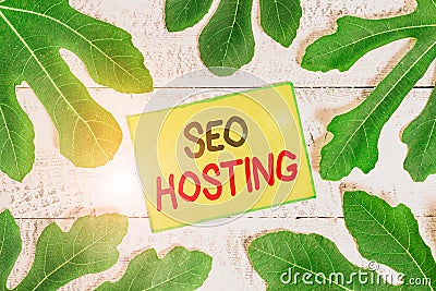 Handwriting text writing Seo Hosting. Concept meaning building website in a way that is friendly for search engines Stock Photo