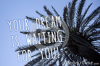 Handwriting text Your Dream Is Waiting For You. Concept meaning Goal Objective Intention Target Yearning Plan Tall palm tree blue Stock Photo