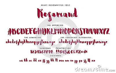 Handwritten script font vector alphabet Rosamund set Vector Illustration
