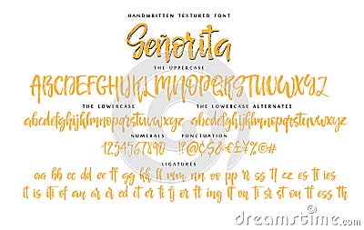 Handwritten script font vector alphabet Senorita set Vector Illustration