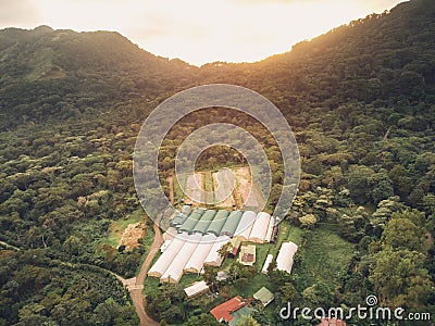 Hangars for drying coffee Editorial Stock Photo