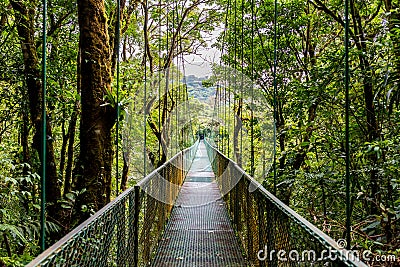 Hanging Bridges in Cloudforest - Monteverde, Costa Rica Stock Photo