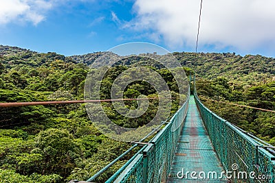 Hanging Bridges in Cloudforest - Monteverde, Costa Rica Stock Photo